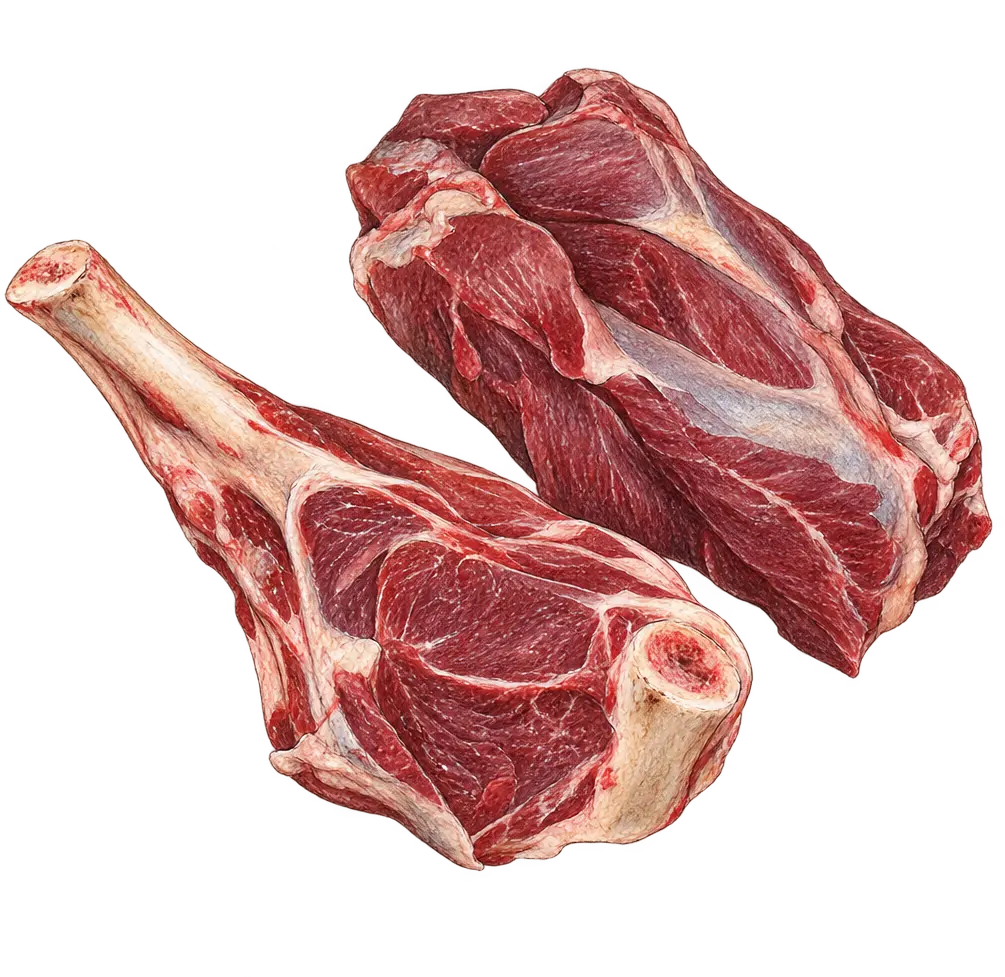 Ilustración de Chivo